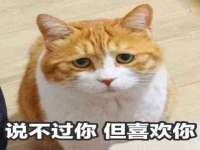 山东互迪特文化科技有限公司