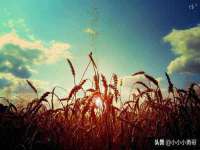 山东互迪特文化科技有限公司