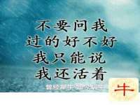 山东互迪特文化科技有限公司