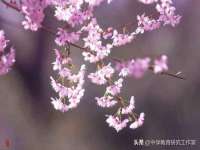 山东互迪特文化科技有限公司