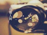山东互迪特文化科技有限公司