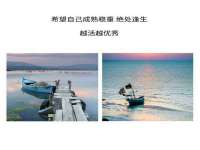 山东互迪特文化科技有限公司