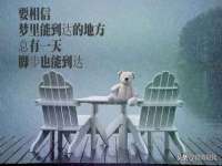 山东互迪特文化科技有限公司