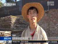 山东互迪特文化科技有限公司