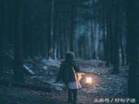 山东互迪特文化科技有限公司