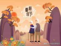 山东互迪特文化科技有限公司