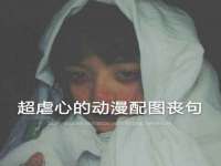 山东互迪特文化科技有限公司