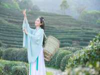 山东互迪特文化科技有限公司