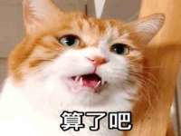 山东互迪特文化科技有限公司