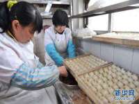 山东互迪特文化科技有限公司