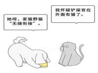 山东互迪特文化科技有限公司