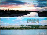 山东互迪特文化科技有限公司