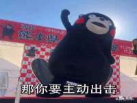 山东互迪特文化科技有限公司