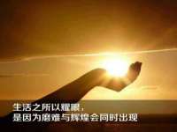 山东互迪特文化科技有限公司
