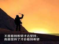 山东互迪特文化科技有限公司
