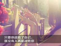 山东互迪特文化科技有限公司