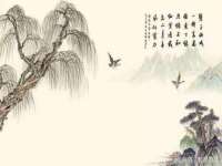 山东互迪特文化科技有限公司