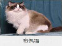 山东互迪特文化科技有限公司