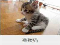 山东互迪特文化科技有限公司