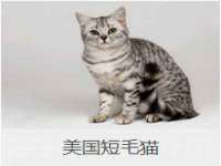 山东互迪特文化科技有限公司