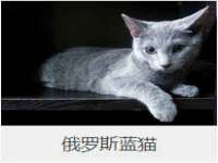 山东互迪特文化科技有限公司