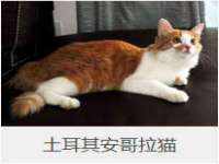 山东互迪特文化科技有限公司