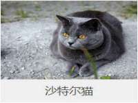 山东互迪特文化科技有限公司