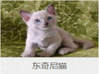 山东互迪特文化科技有限公司