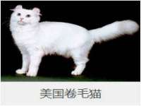 山东互迪特文化科技有限公司