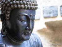 山东互迪特文化科技有限公司