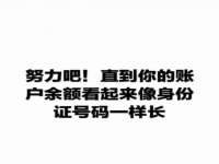 山东互迪特文化科技有限公司
