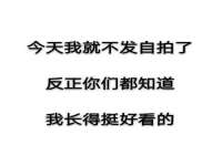 山东互迪特文化科技有限公司