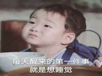 山东互迪特文化科技有限公司