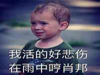 山东互迪特文化科技有限公司