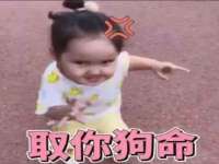 山东互迪特文化科技有限公司