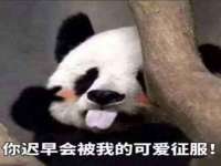 山东互迪特文化科技有限公司