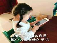 山东互迪特文化科技有限公司