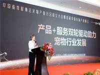 山东互迪特文化科技有限公司
