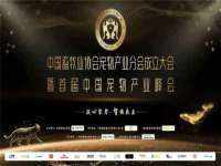 山东互迪特文化科技有限公司
