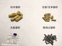 山东互迪特文化科技有限公司