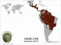 山东互迪特文化科技有限公司