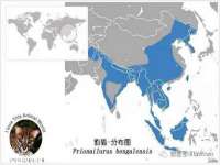山东互迪特文化科技有限公司