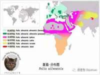山东互迪特文化科技有限公司