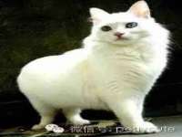 山东互迪特文化科技有限公司