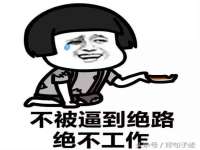 山东互迪特文化科技有限公司