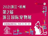 山东互迪特文化科技有限公司