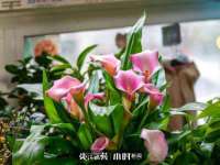 山东互迪特文化科技有限公司