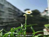 山东互迪特文化科技有限公司