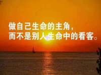 山东互迪特文化科技有限公司