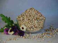 山东互迪特文化科技有限公司